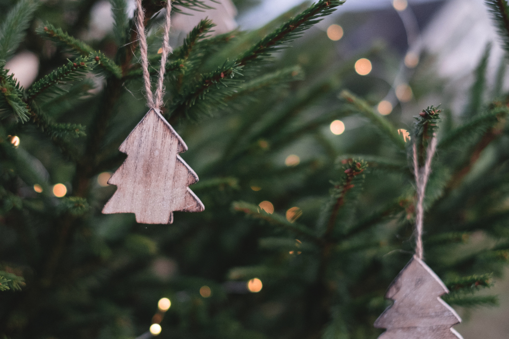 kerstbomen kopen in Breda? Kom naar Poppelaars Budget Bloemen & Planten!