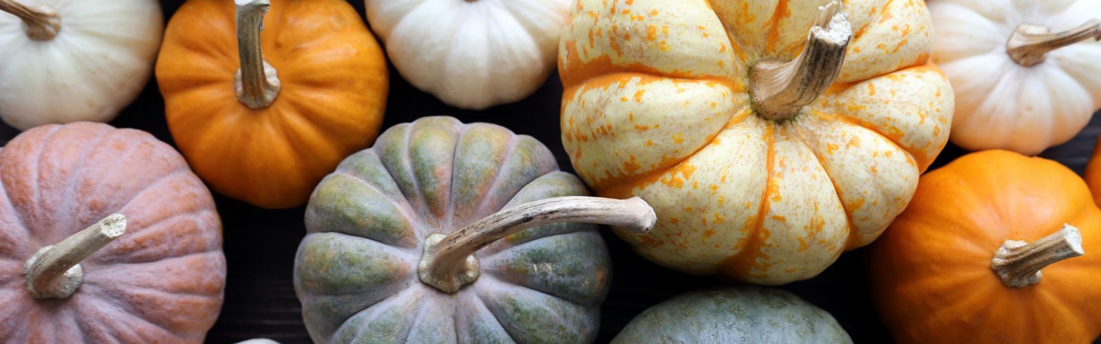 Maak de tuin herfstklaar!