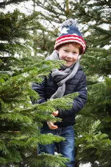 Gezien in de folder: Echte kerstbomen