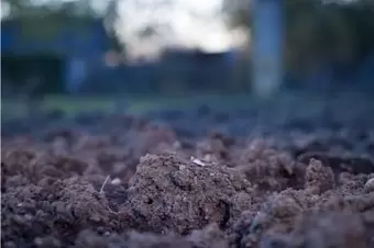 Tuinieren op kleigrond