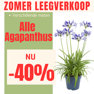 Zomer leegverkoop